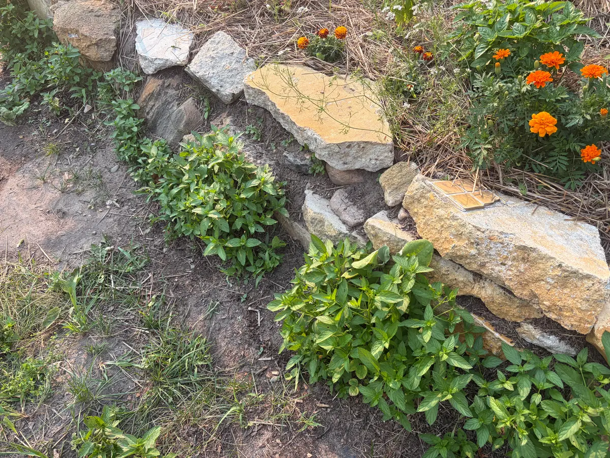 Concrete shards used in the construction of the Hugelkulture retaining walls