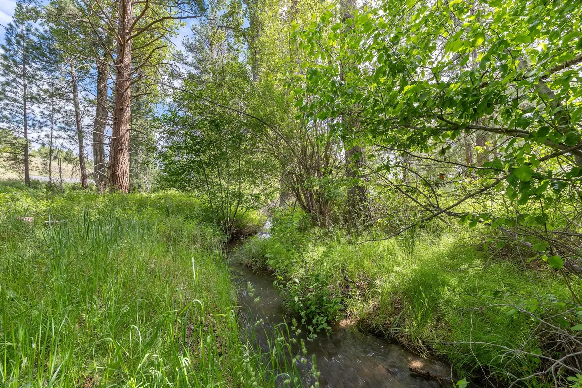 Year Round Creek at South property edge