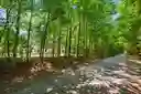 Tobacco Trail