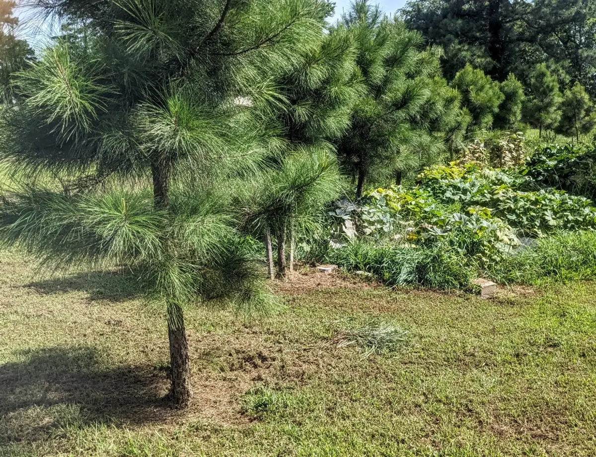 property-listing