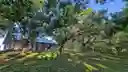 listing-thumbnails