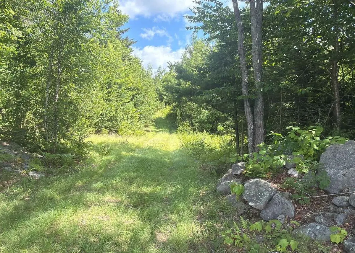 property-listing