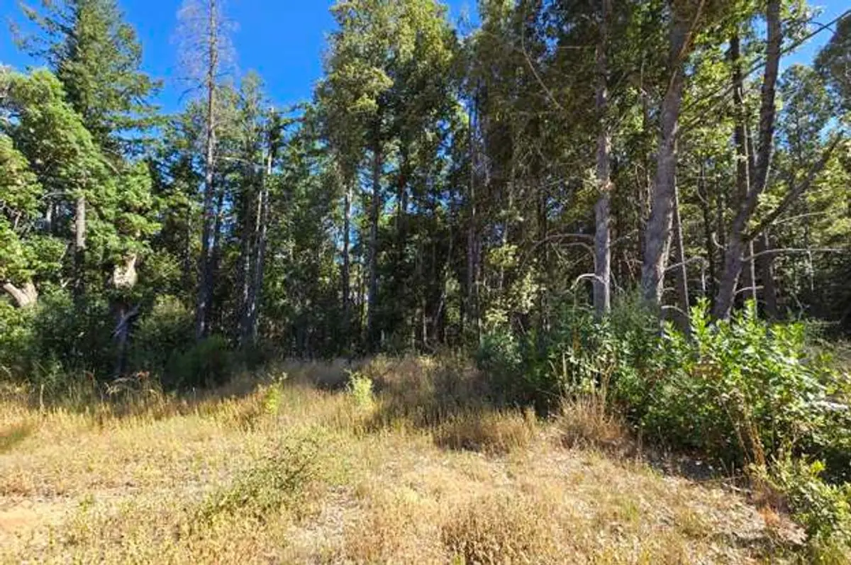 property-listing
