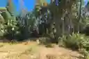 listing-thumbnails