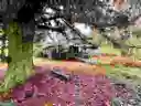 listing-thumbnails