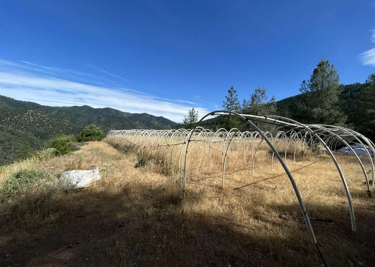 property-listing