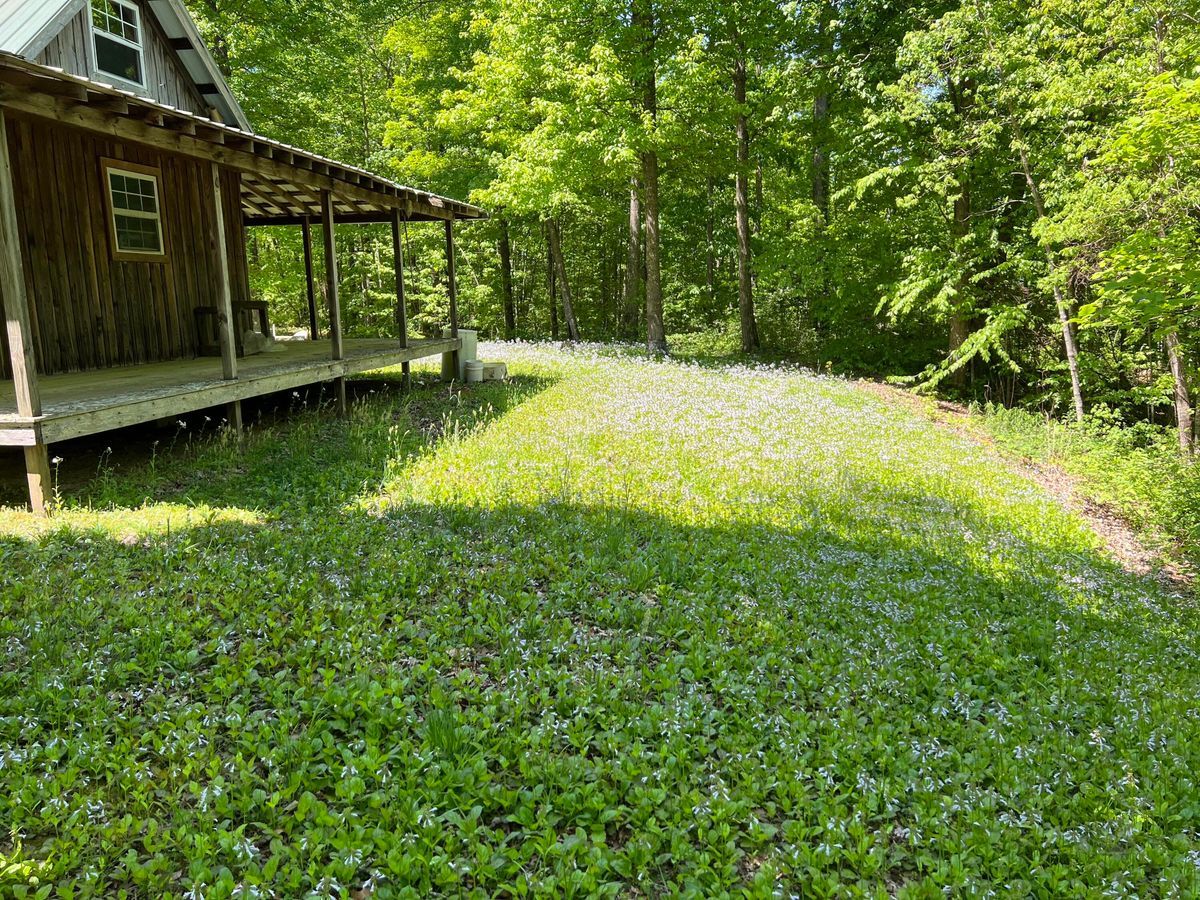 property-listing