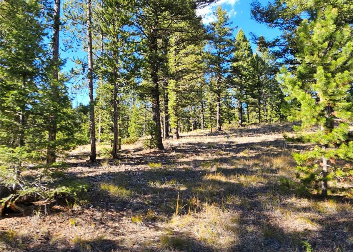 property-listing