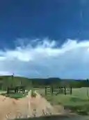 listing-thumbnails