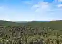 listing-thumbnails