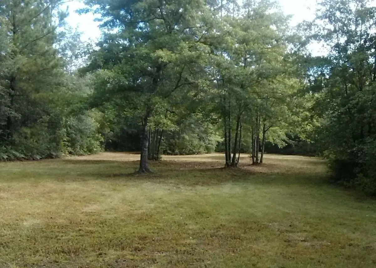 property-listing