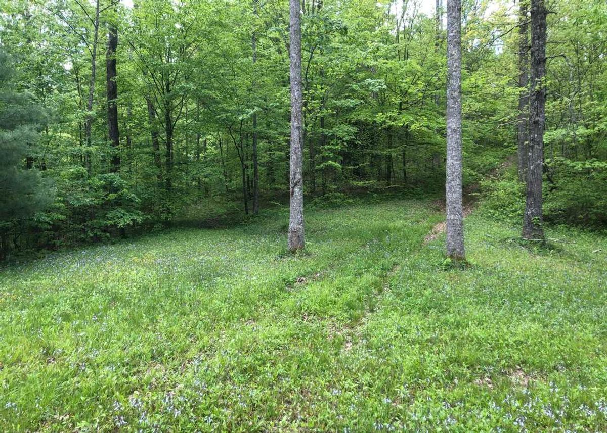 property-listing
