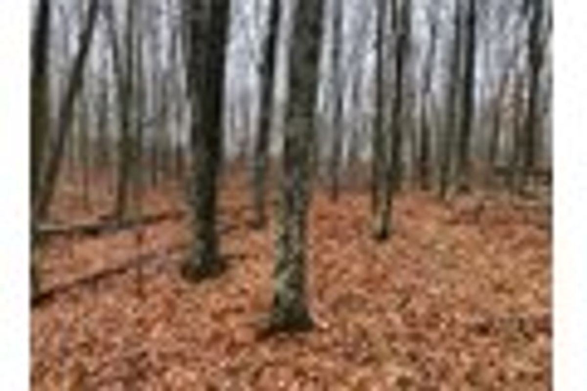 property-listing
