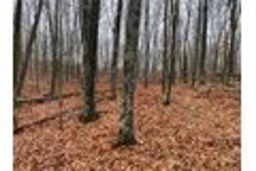 listing-thumbnails