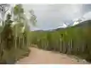 listing-thumbnails