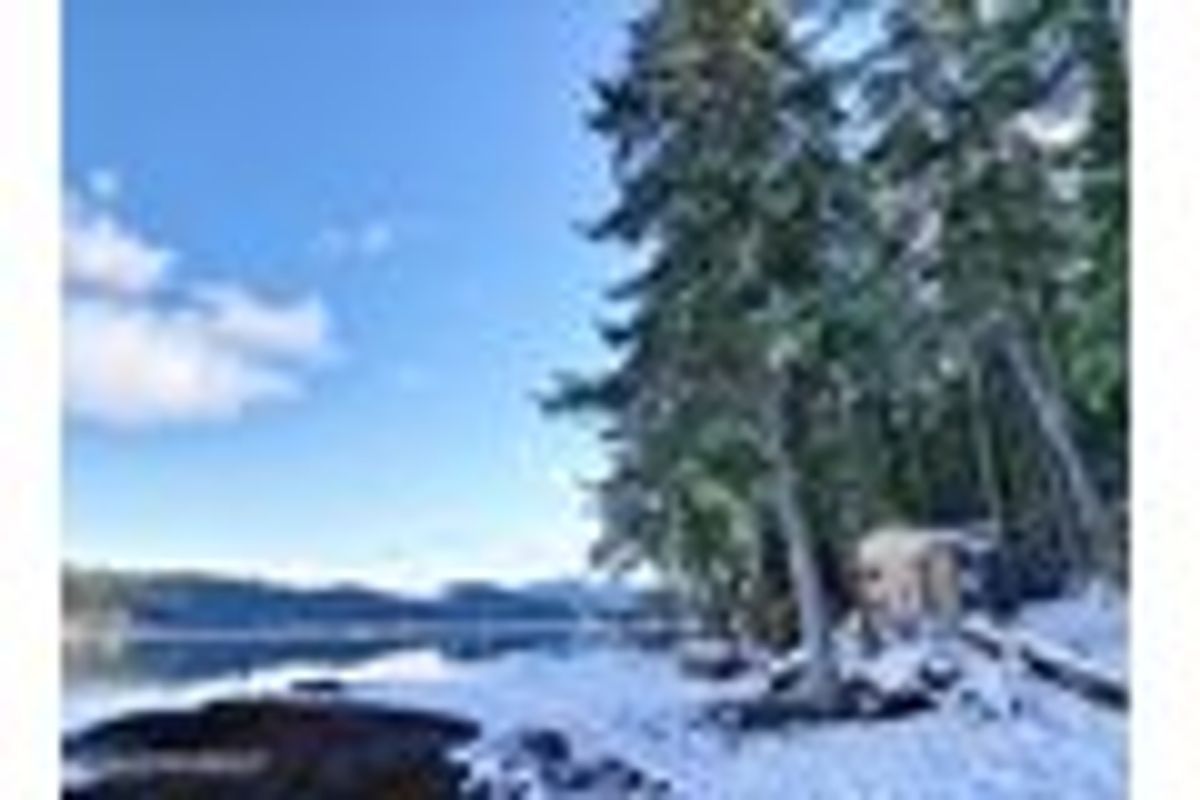 property-listing