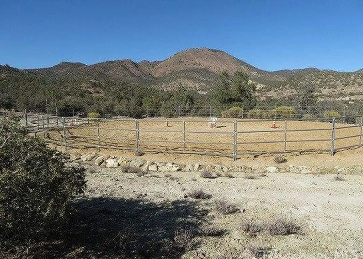 property-listing