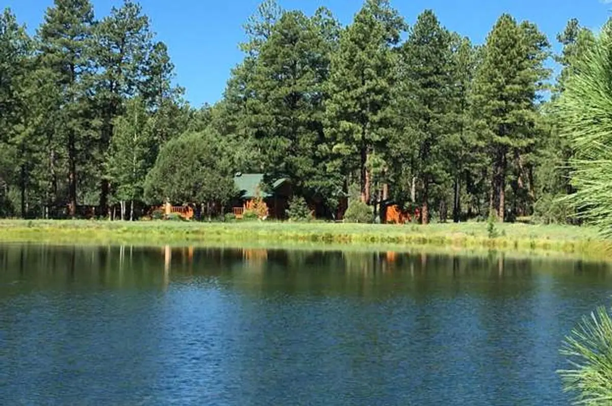 property-listing