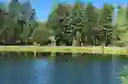 listing-thumbnails