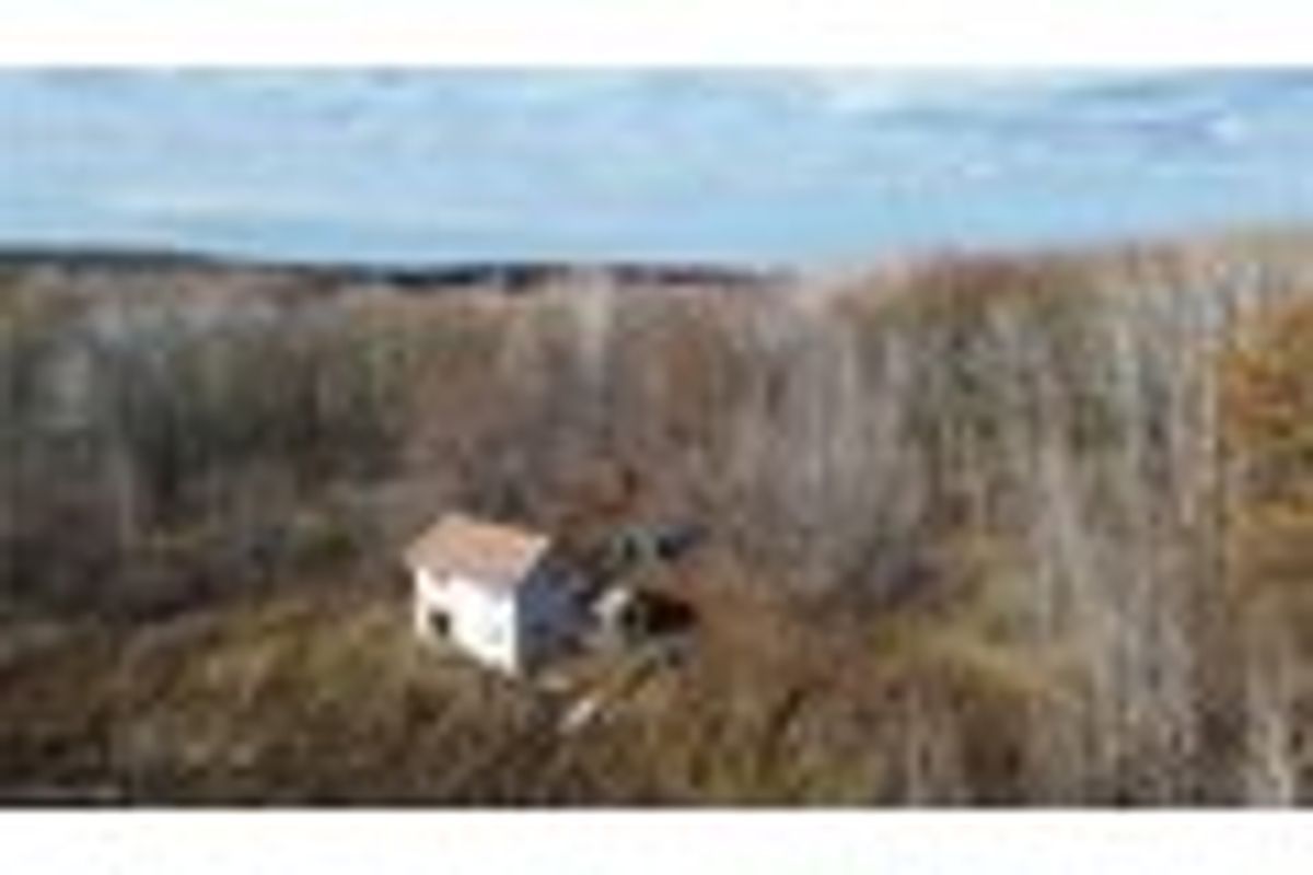 property-listing