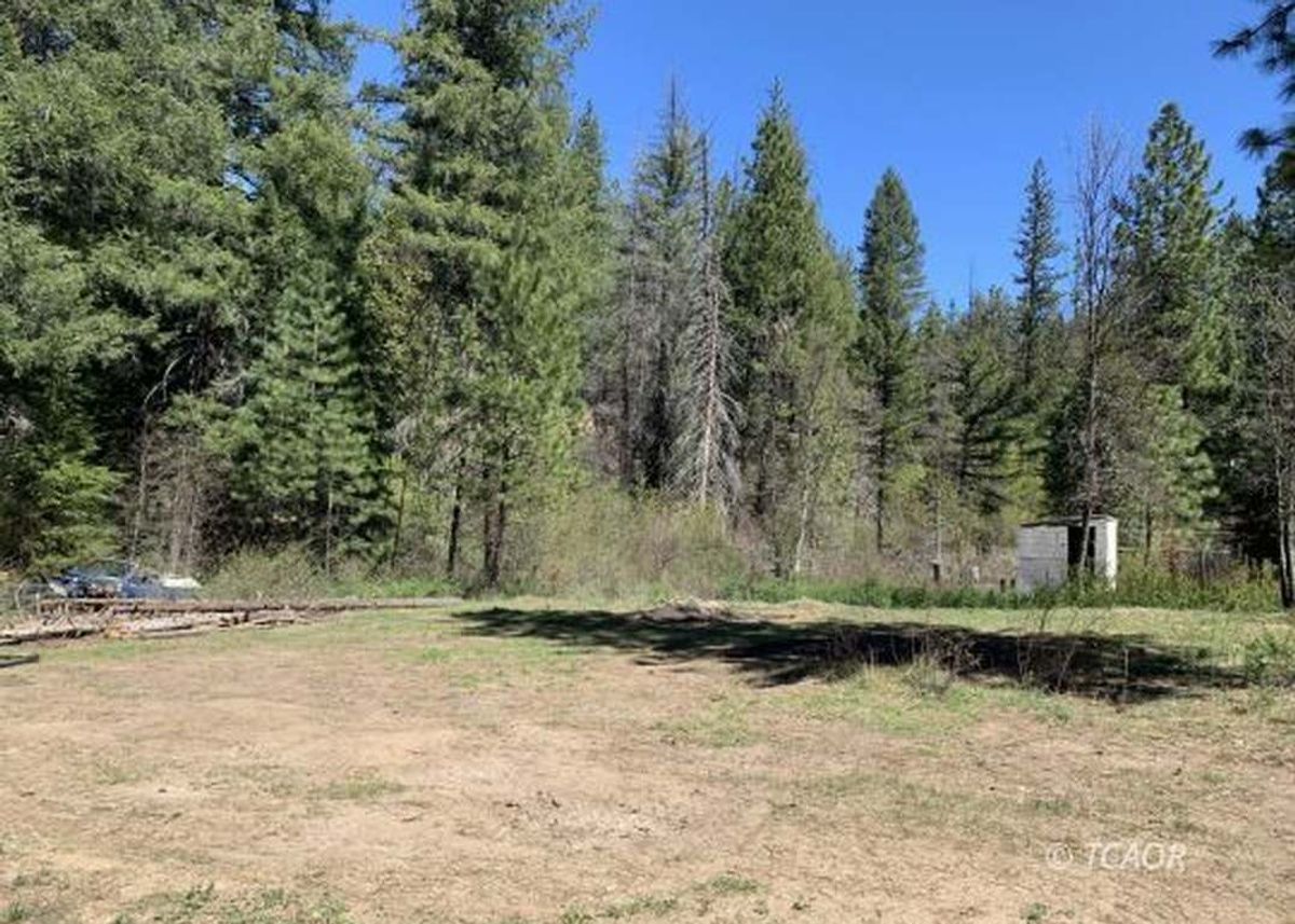 Green Homes for Sale - Hayfork, California Green Home