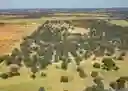 listing-thumbnails