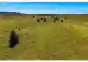 listing-thumbnails