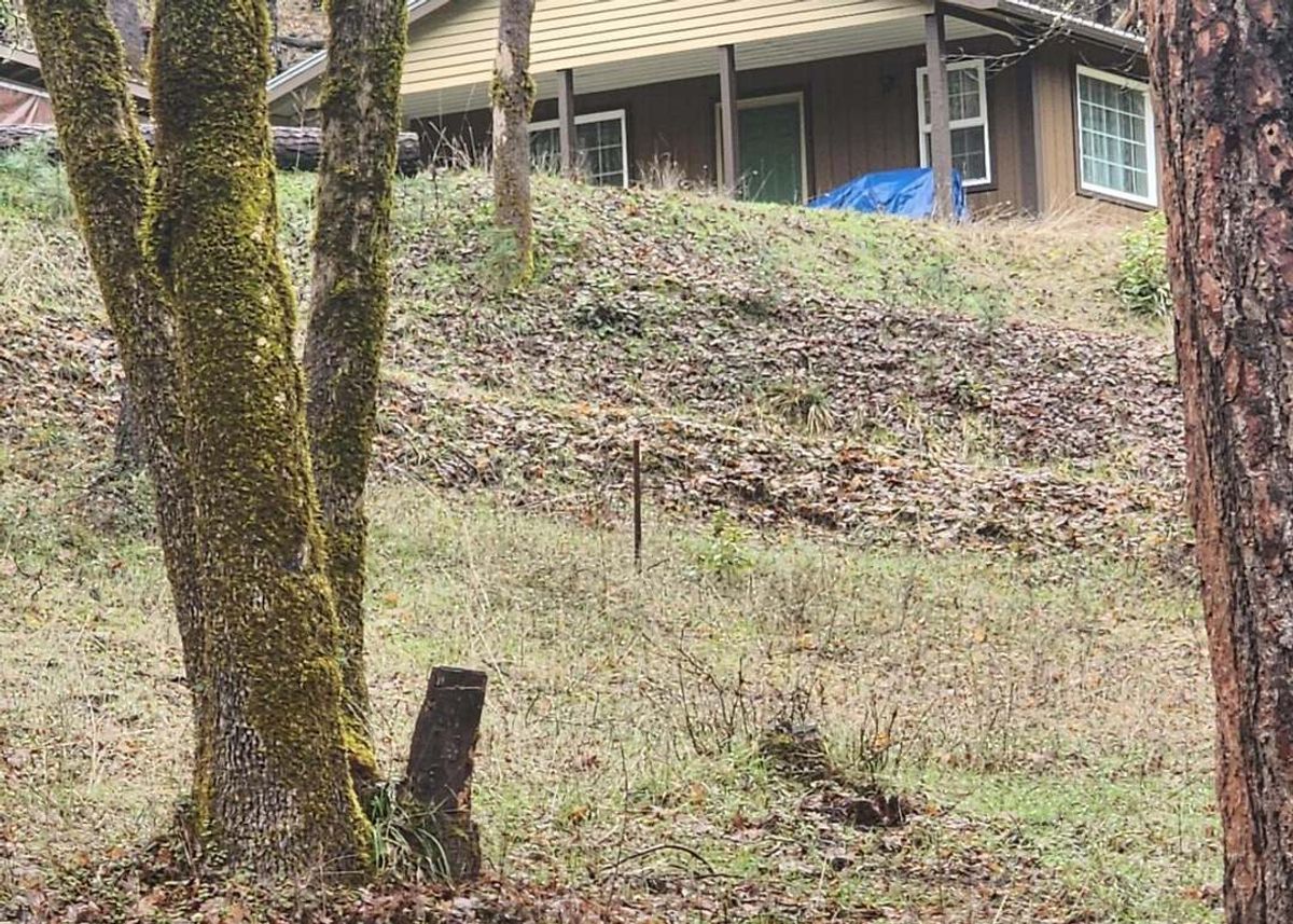 property-listing