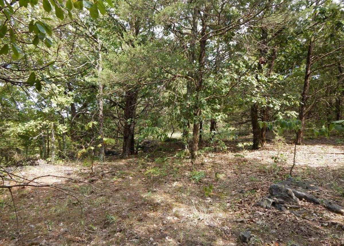 property-listing