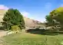 listing-thumbnails