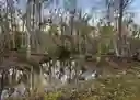 listing-thumbnails