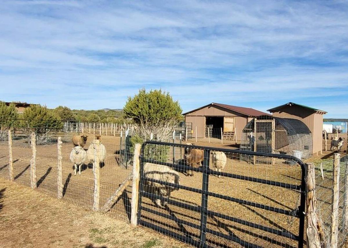 property-listing