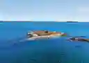 listing-thumbnails