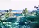 listing-thumbnails