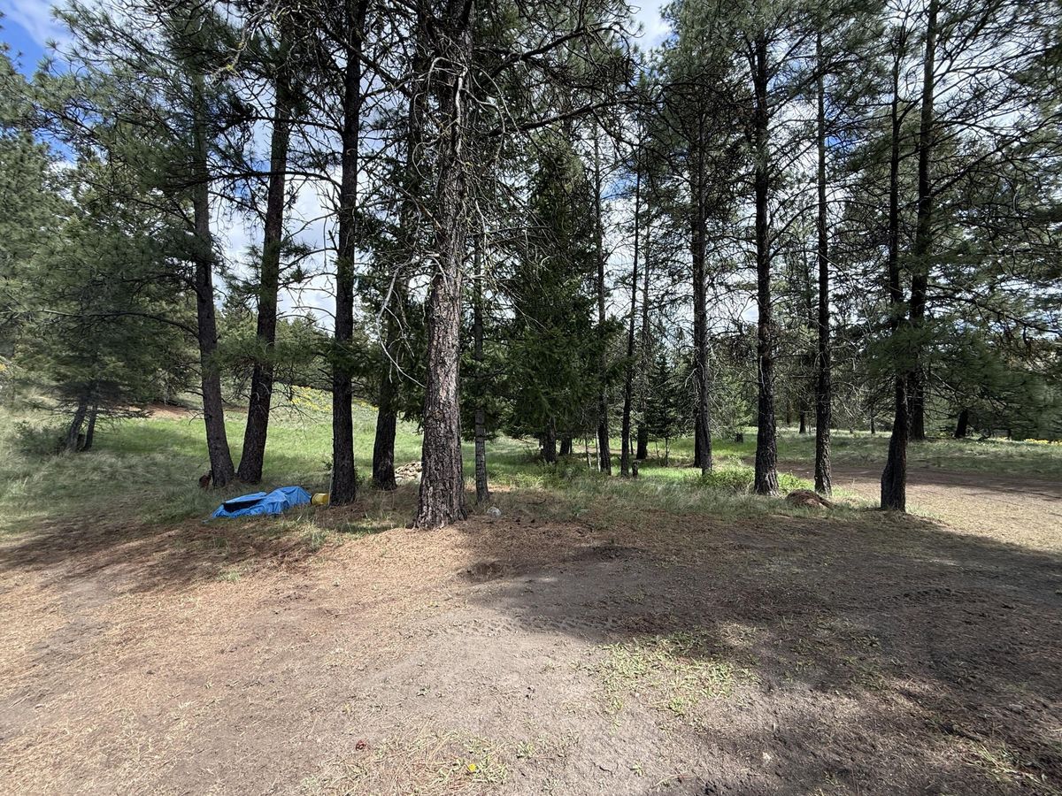 property-listing