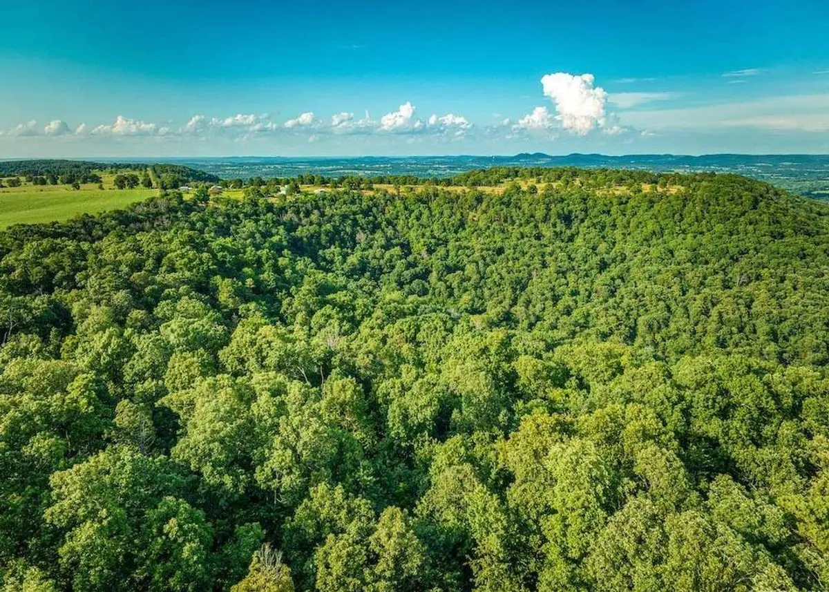 property-listing