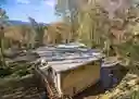 listing-thumbnails