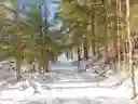 listing-thumbnails