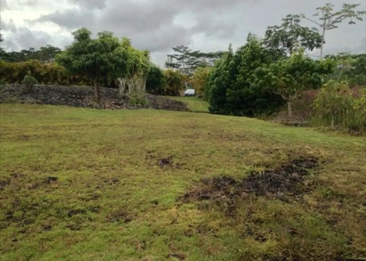 property-listing