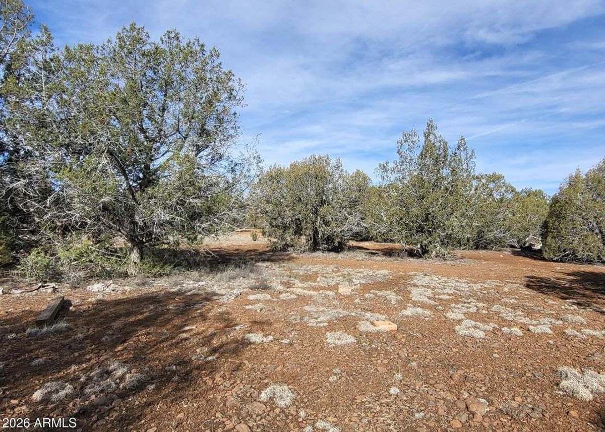 property-listing