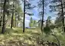 listing-thumbnails