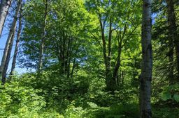 listing-thumbnails