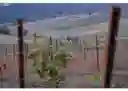 listing-thumbnails
