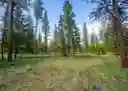 listing-thumbnails