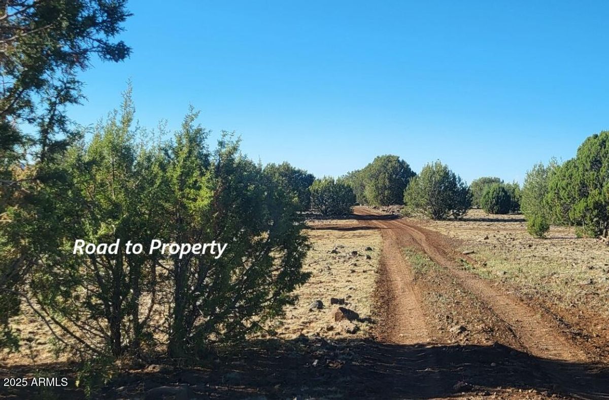 property-listing