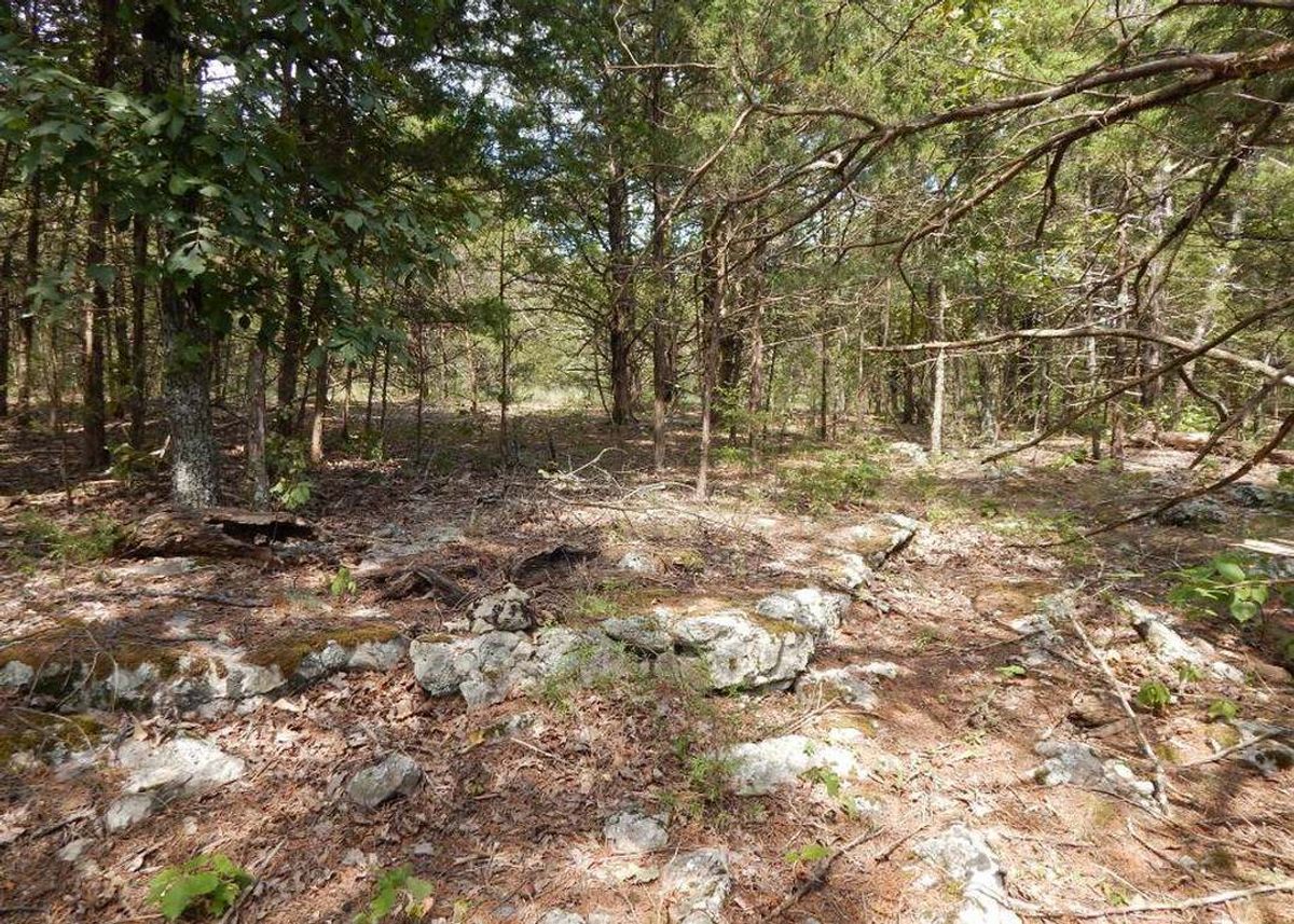 property-listing