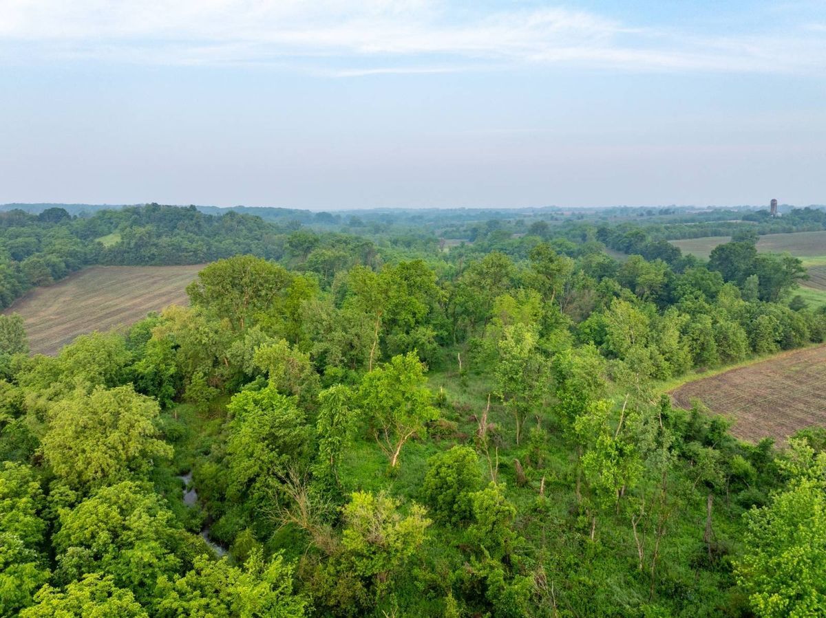 property-listing