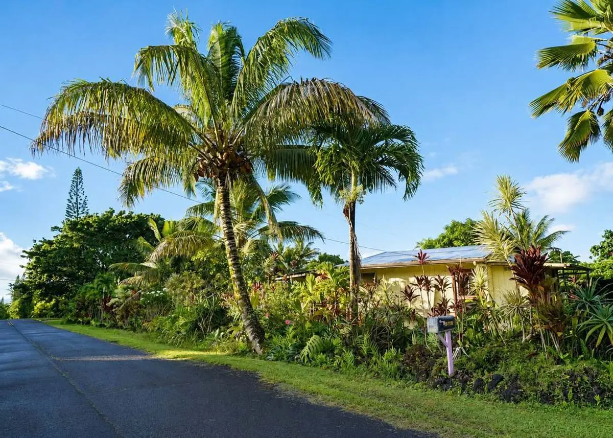 Green Homes for Sale - Pahoa, Hawaii Green Home