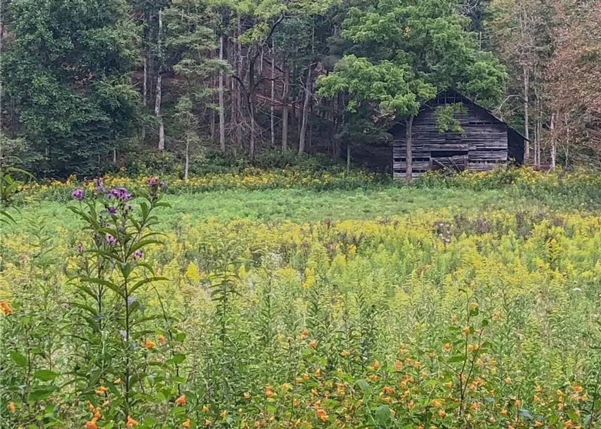 Photo 40 of green home in Hot Springs, North Carolina