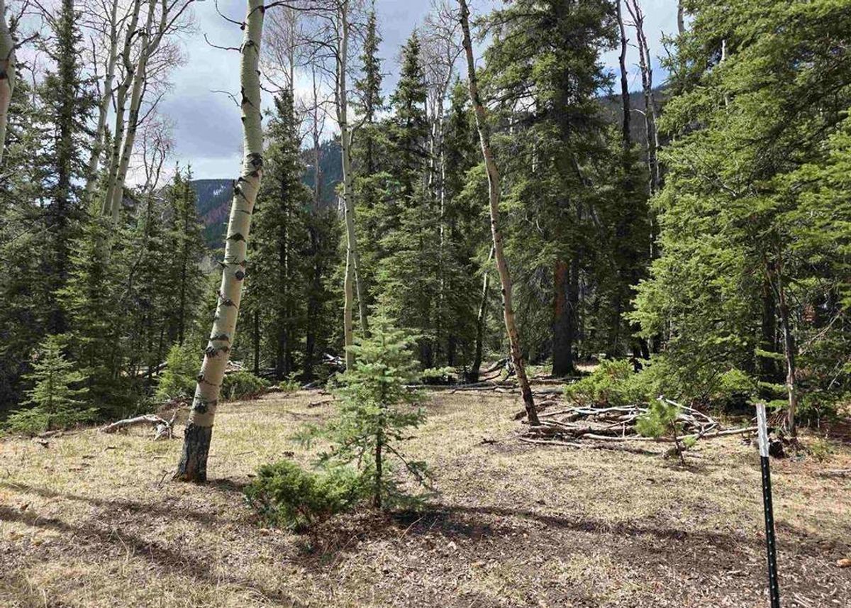 Green Homes for Sale - Jasper, Colorado Green Home